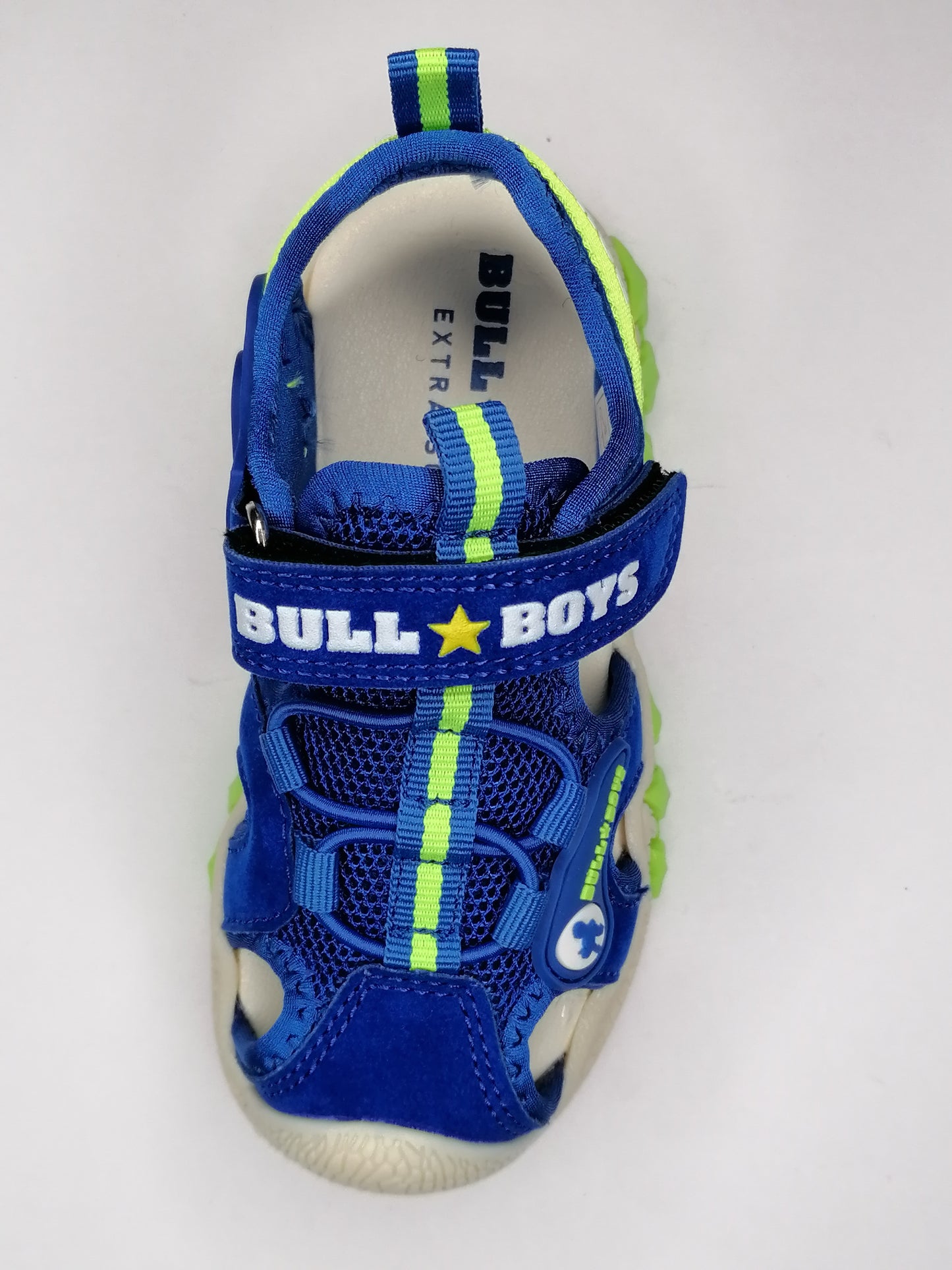 BULLBOYS- DNCR5060 T-REX ROYAL