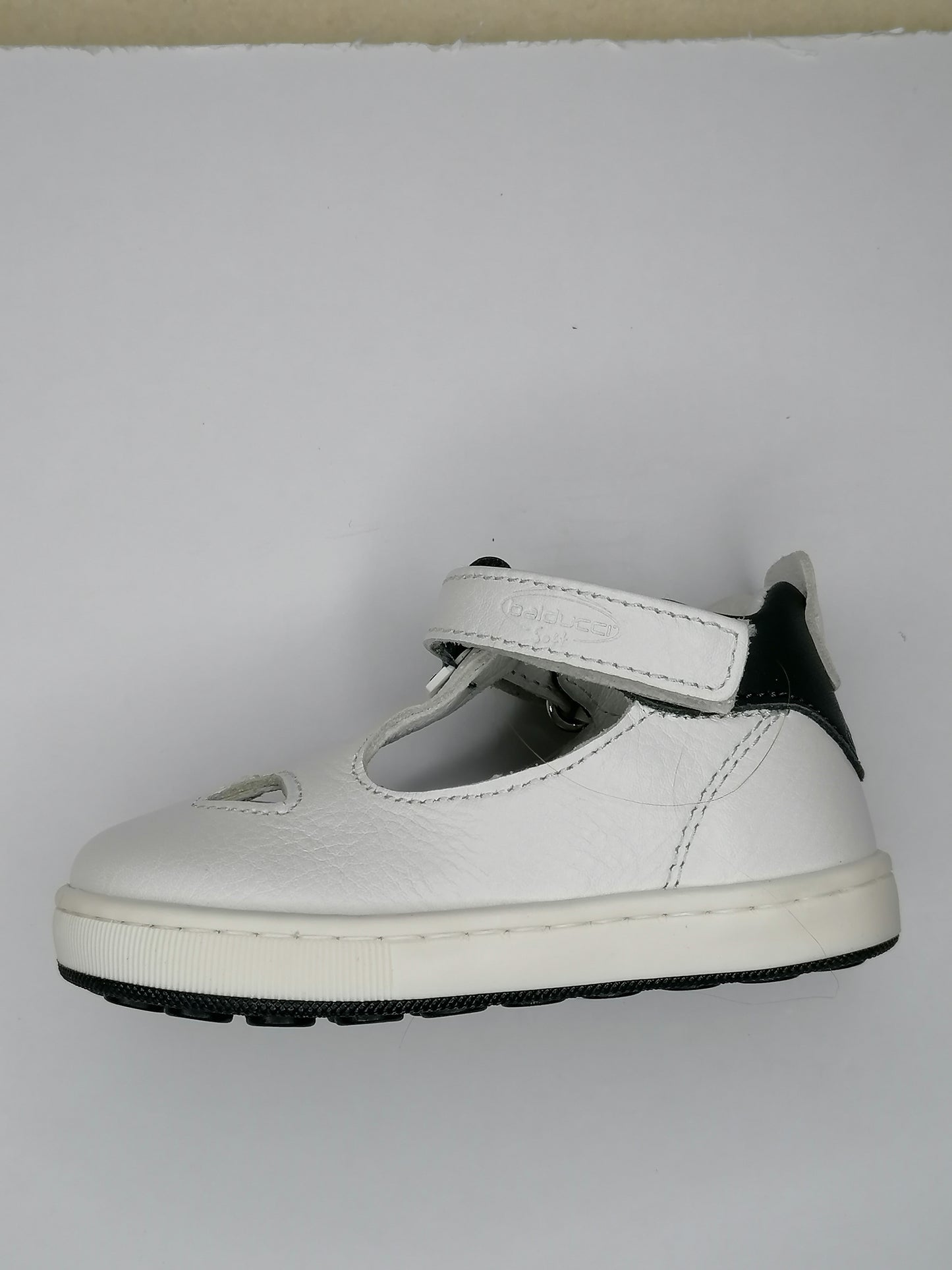 Cita5832C Sand.2occhi alto fg (Copia)