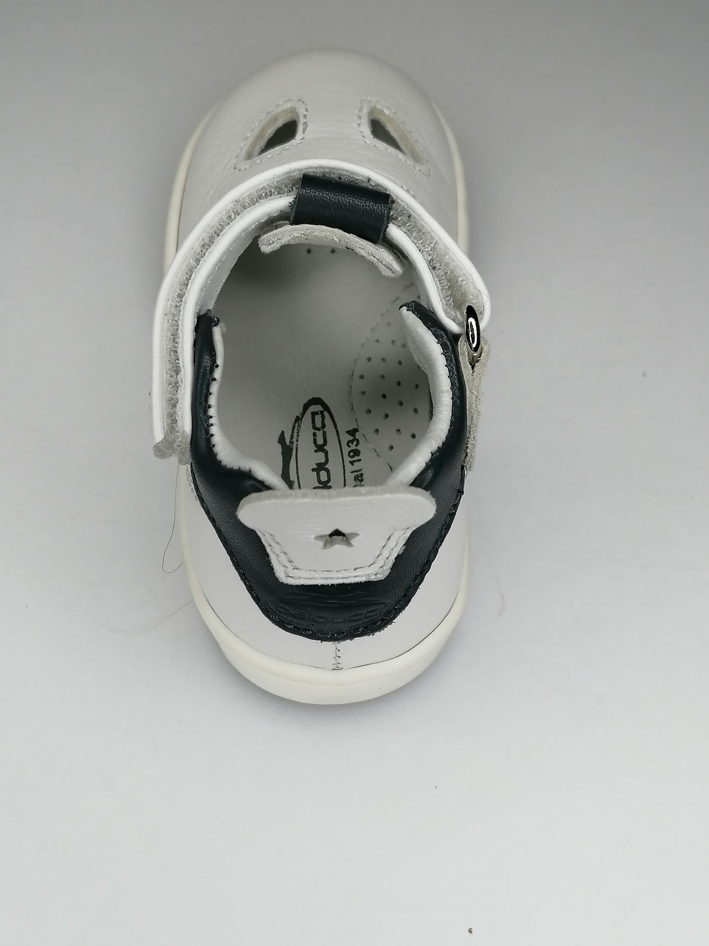 Cita5832C Sand.2occhi alto fg (Copia)